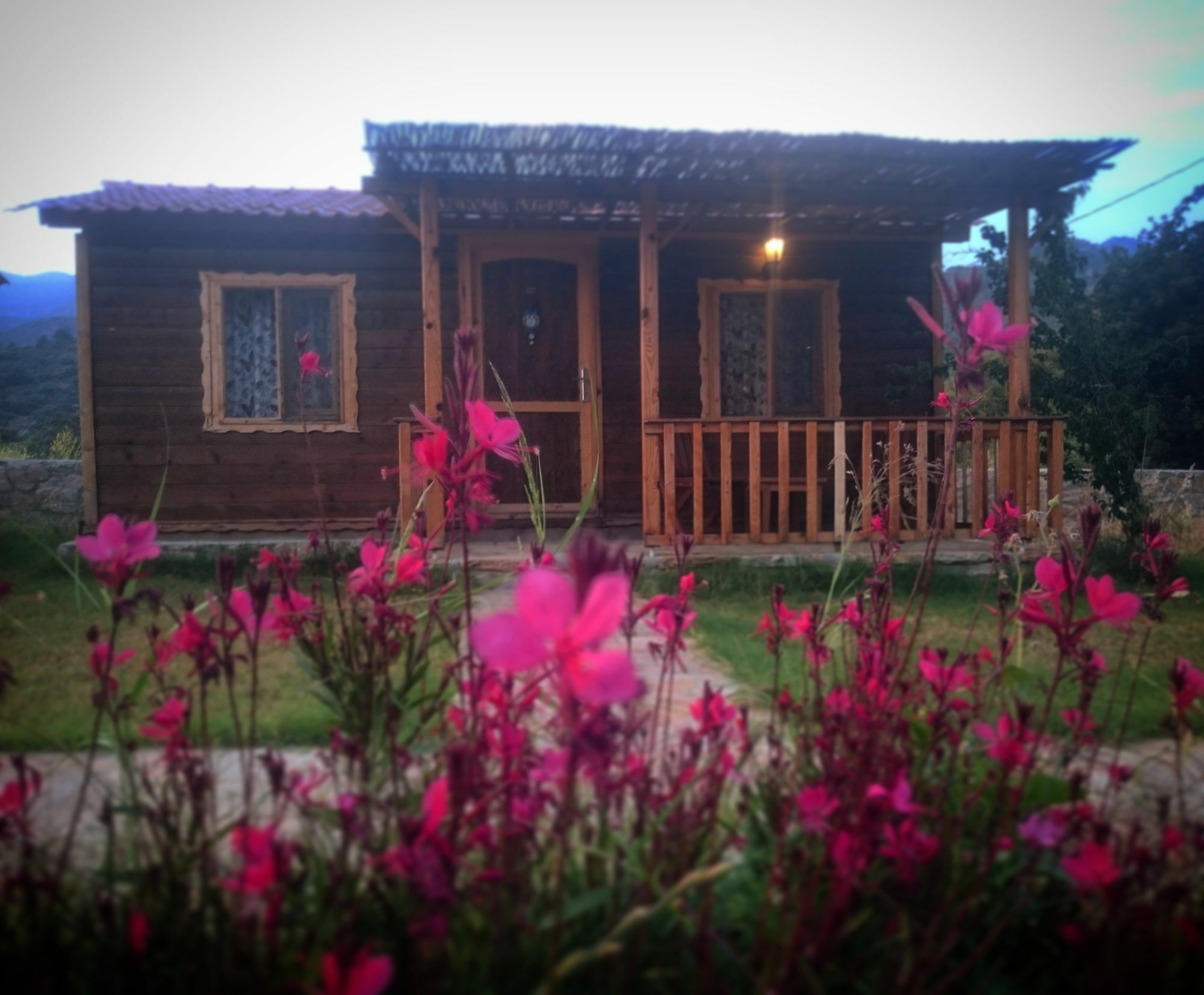 Ipekce Tatil Evleri Месудие Экстерьер фото